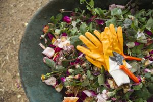 Flowers and gloves